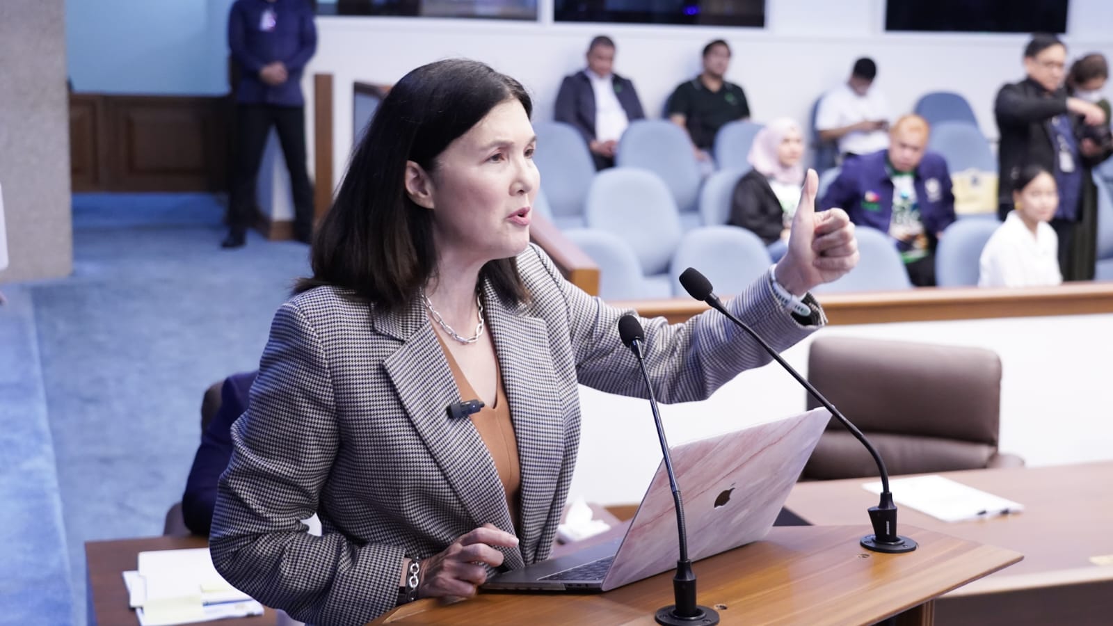 Transcript of Senator Pia Cayetano’s statement during the session