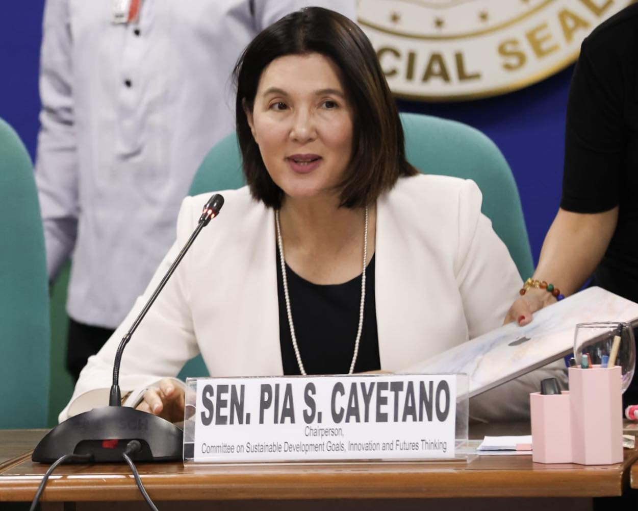Photo Release: 1st Hearing of the Committee on Sustainable Development Goals, Innovation, and Futures Thinking